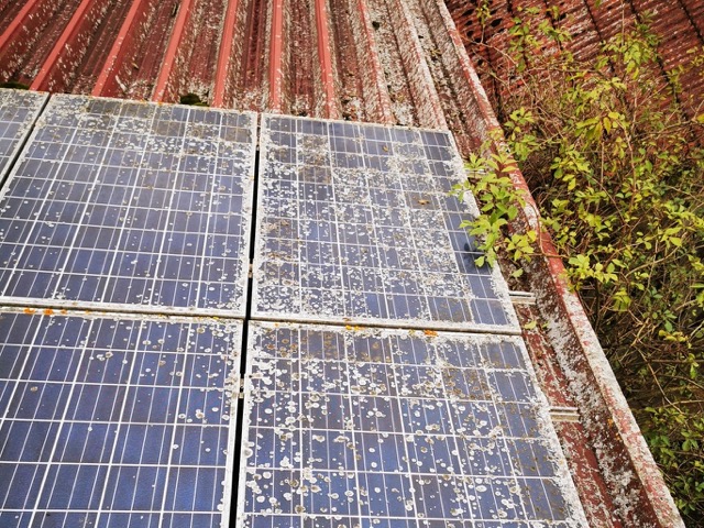 Eine mit einer handgeführte Bürste zu reinigende Solaranlage, welche von Flechten durch die Solarreinigung Süddeutschland GbR befreit werden soll.